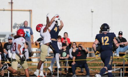 Théo Deslongchamps : Le receveur polyvalent du Vert & Or