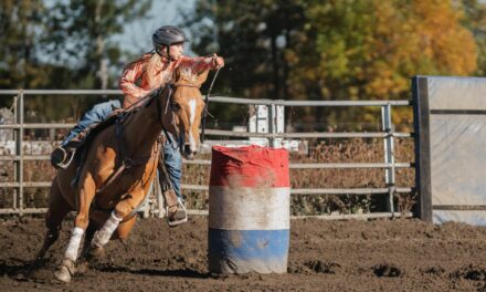 Énora B. Raymond : entre glace et galop, une passion doublement ancrée