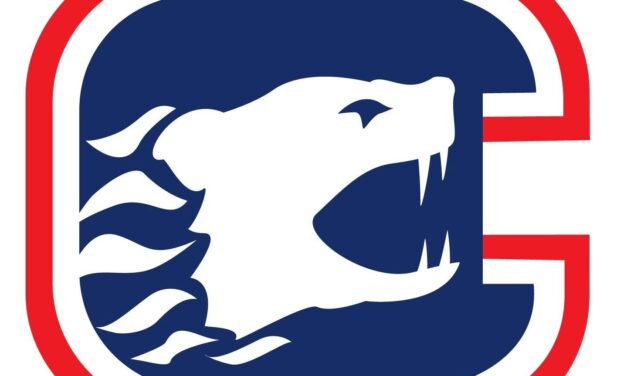 Les Carcajous des Laurentides font vibrer le volleyball canadien